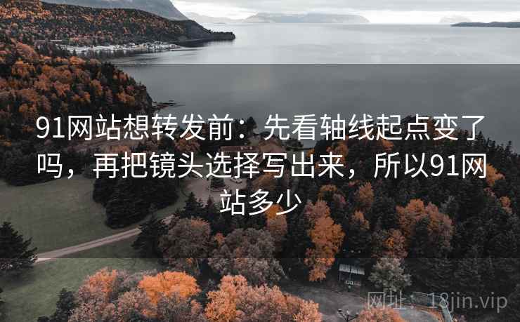91网站想转发前：先看轴线起点变了吗，再把镜头选择写出来，所以91网站多少